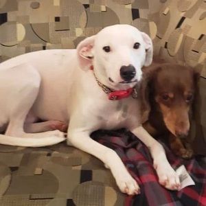 Meet your Posher, Lori